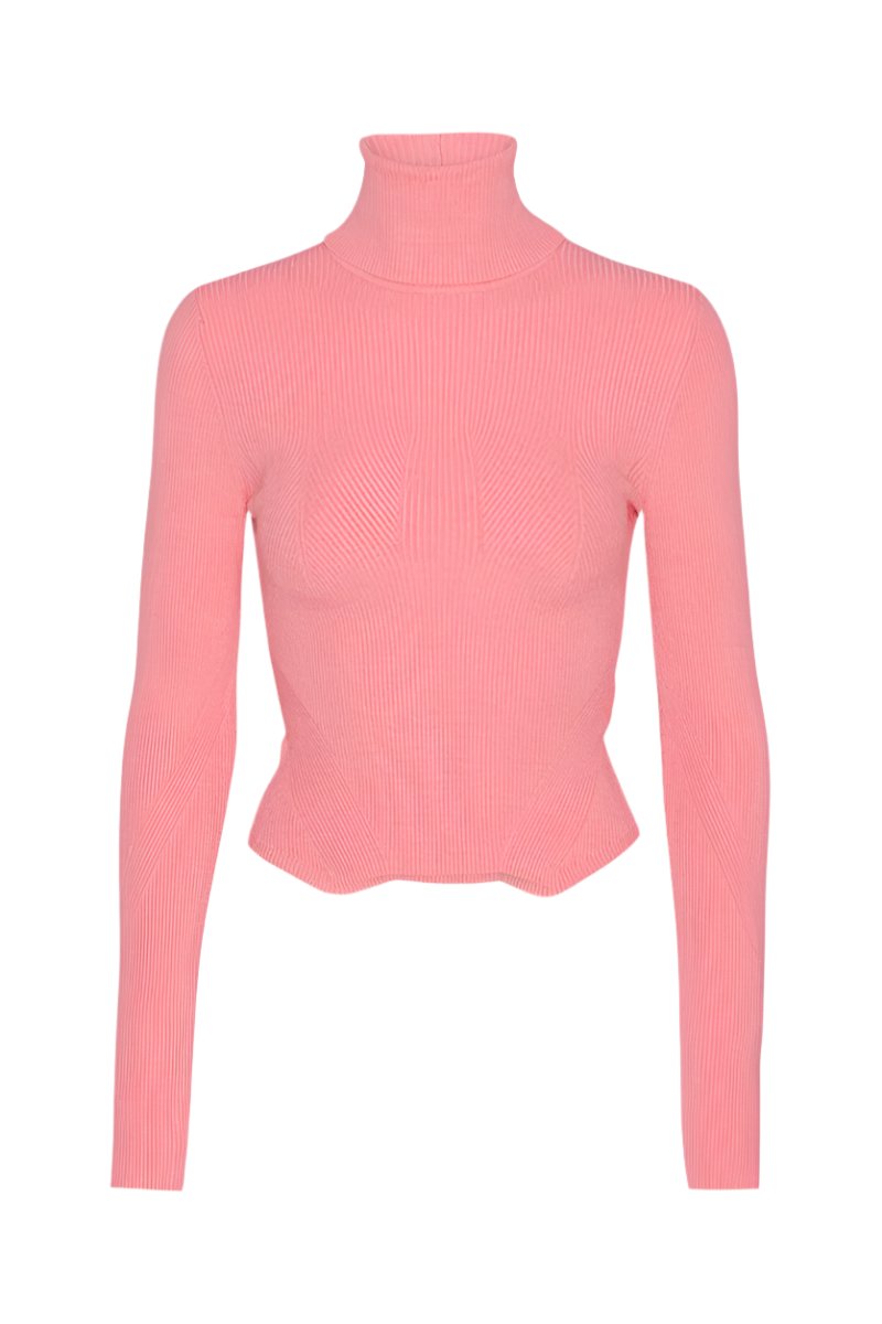 Dense Knit Cropped Turtleneck Top