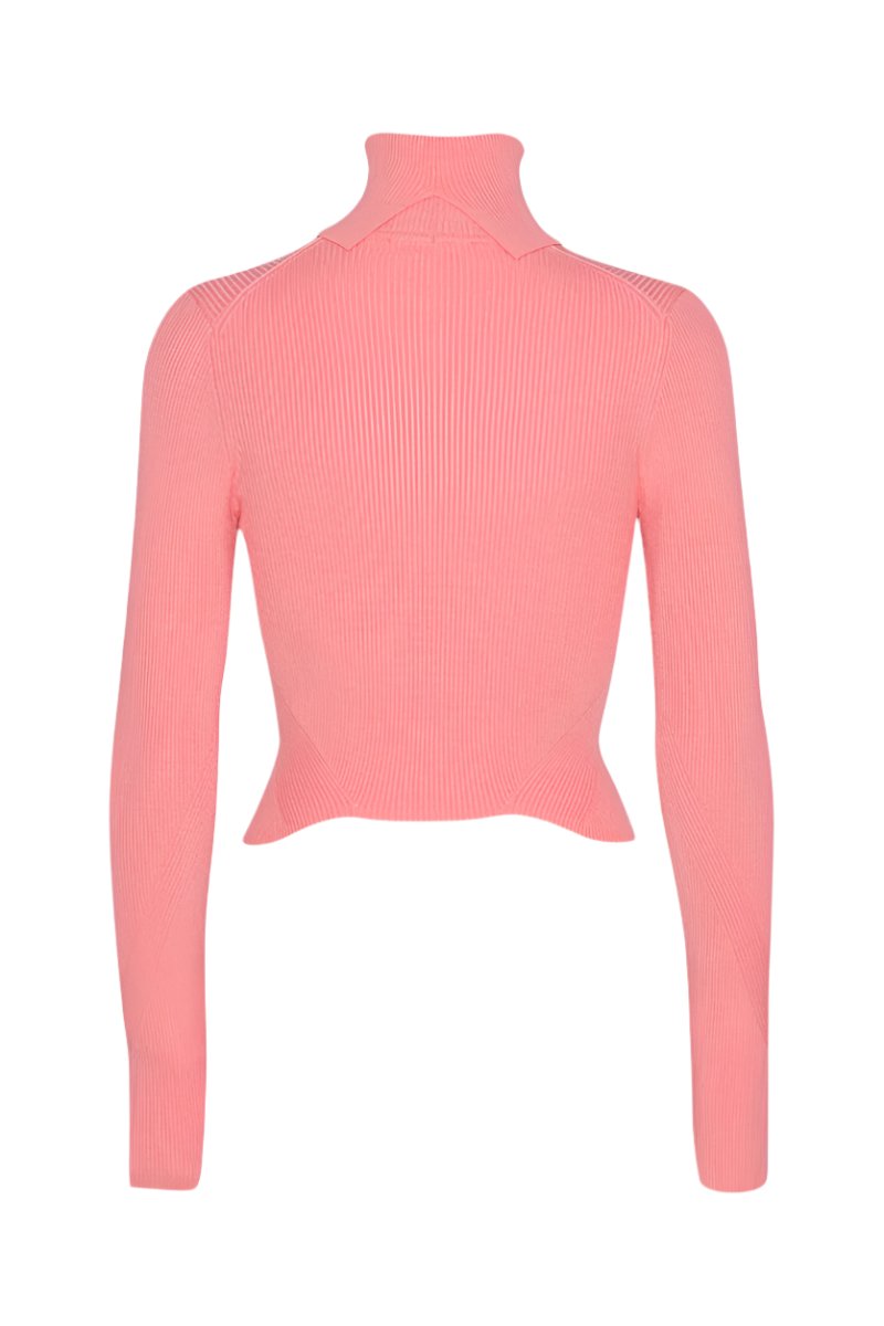 Dense Knit Cropped Turtleneck Top