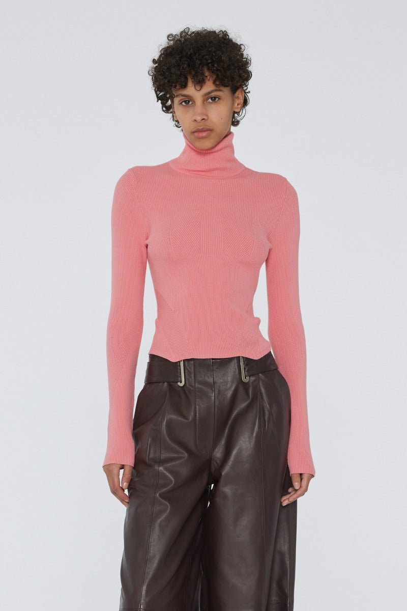 Dense Knit Cropped Turtleneck Top